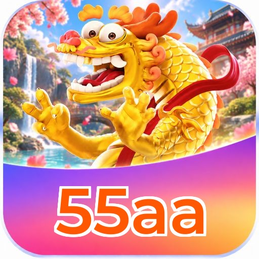 55aa Installation Guide